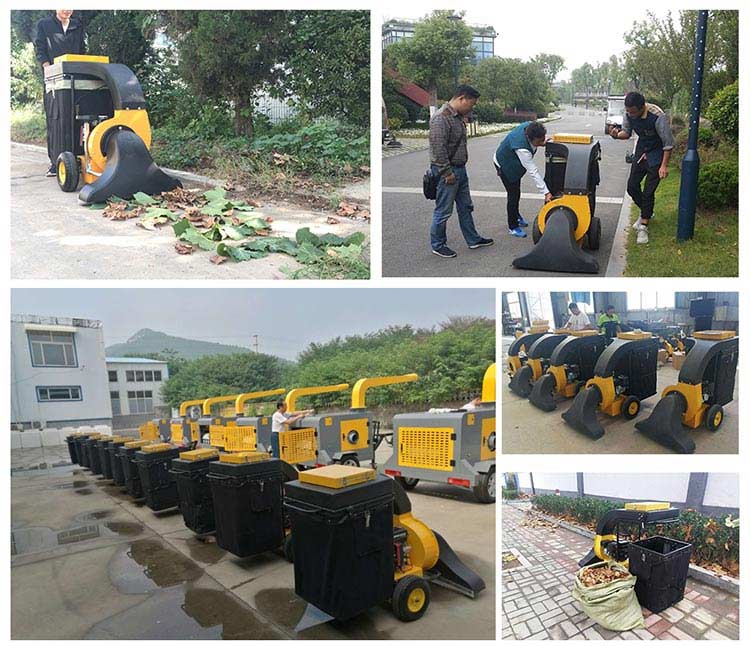 1639707095649263.jpg 8.jpg