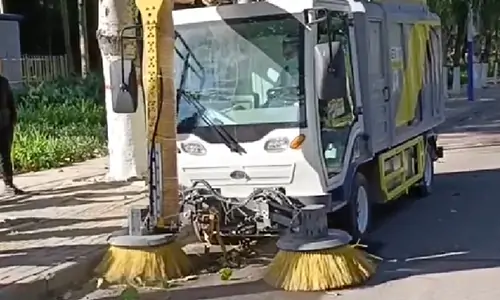 電動樹葉收集車城市道路樹葉收集現場