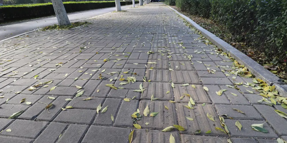 吸樹葉的機(jī)器 吸樹葉的機(jī)器