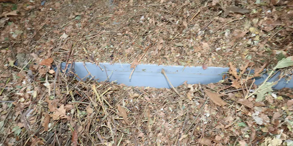 吸樹葉的機器 新型樹葉收集車 電動樹葉專用收集車 樹葉收集一體車 吸入式樹葉收集車 吸樹葉的機器 新型樹葉收集車 電動樹葉專用收集車 樹葉收集一體車 吸入式樹葉收集車