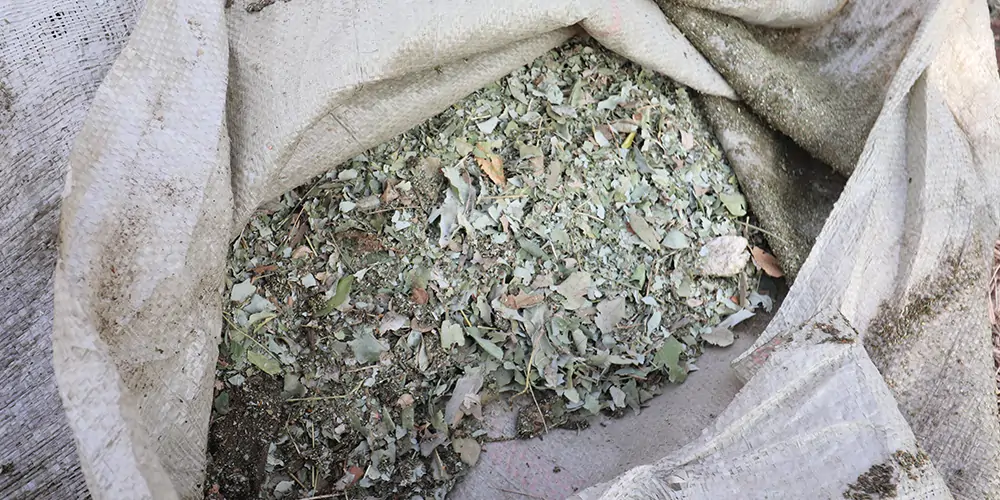 吸入式樹葉收集車 電動三輪車樹葉收集器 樹葉收集器車 三輪樹葉收集車 林場專用樹葉收集車 吸入式樹葉收集車 電動三輪車樹葉收集器 樹葉收集器車 三輪樹葉收集車 林場專用樹葉收集車