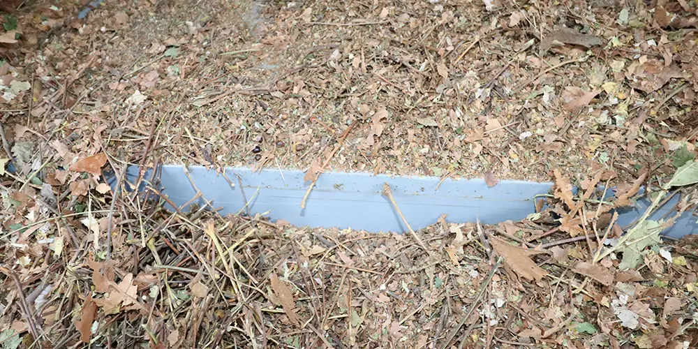 新型樹(shù)葉收集車(chē),電動(dòng)樹(shù)葉專(zhuān)用收集車(chē),樹(shù)葉收集一體車(chē),吸入式樹(shù)葉收集車(chē),破碎樹(shù)葉收集車(chē) 新型樹(shù)葉收集車(chē),電動(dòng)樹(shù)葉專(zhuān)用收集車(chē),樹(shù)葉收集一體車(chē),吸入式樹(shù)葉收集車(chē),破碎樹(shù)葉收集車(chē)