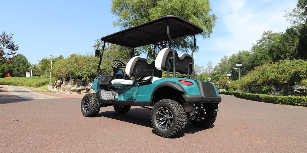 1732685775835683.jpg 04.jpg