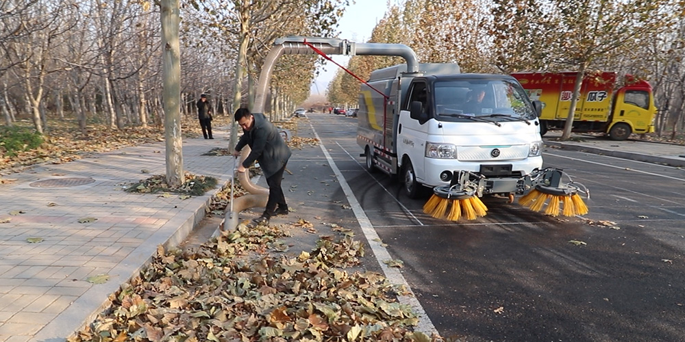 1737768658711063.jpg 01-4500.jpg