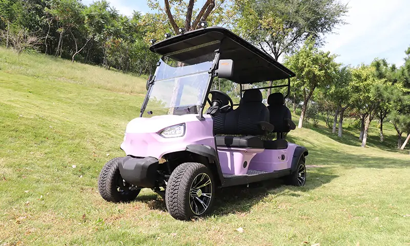 純電動(dòng)高爾夫球車(chē):綠色出行,舒適智能,適應(yīng)多場(chǎng)景需求