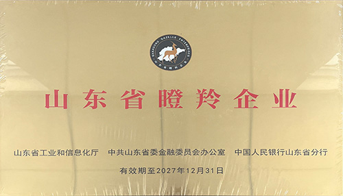 濟(jì)南百易環(huán)保科技有限公司發(fā)展歷程 濟(jì)南百易長青發(fā)展歷程